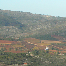Escola EB 2,3/s D. Sancho II