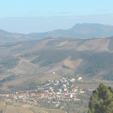 Junta de Freguesia