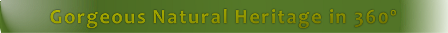 slogan